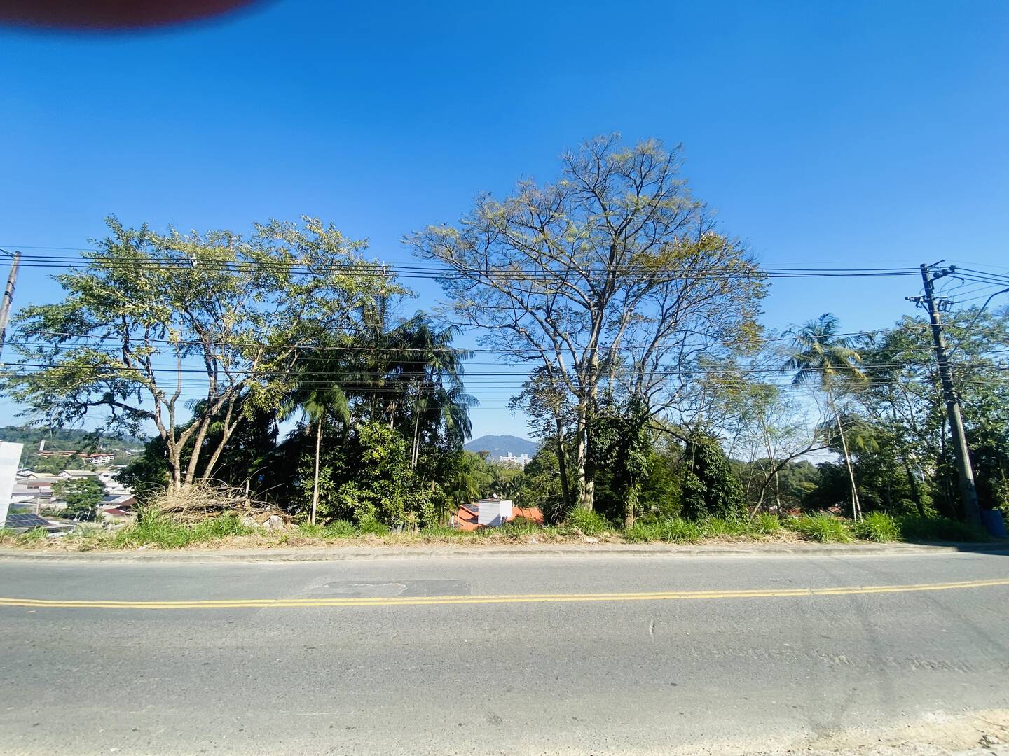#1059 - Área para Venda em Blumenau - SC