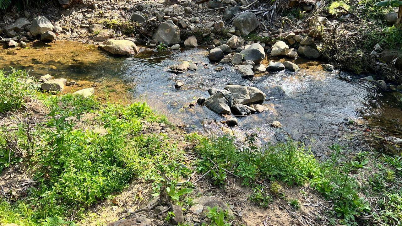 #1217 - Chácara para Venda em Blumenau - SC