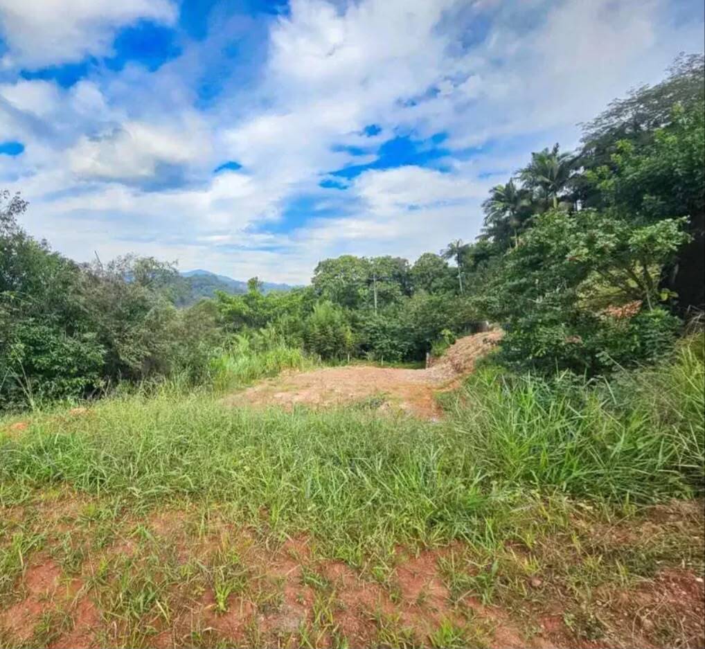#1345 - Área para Venda em Blumenau - SC