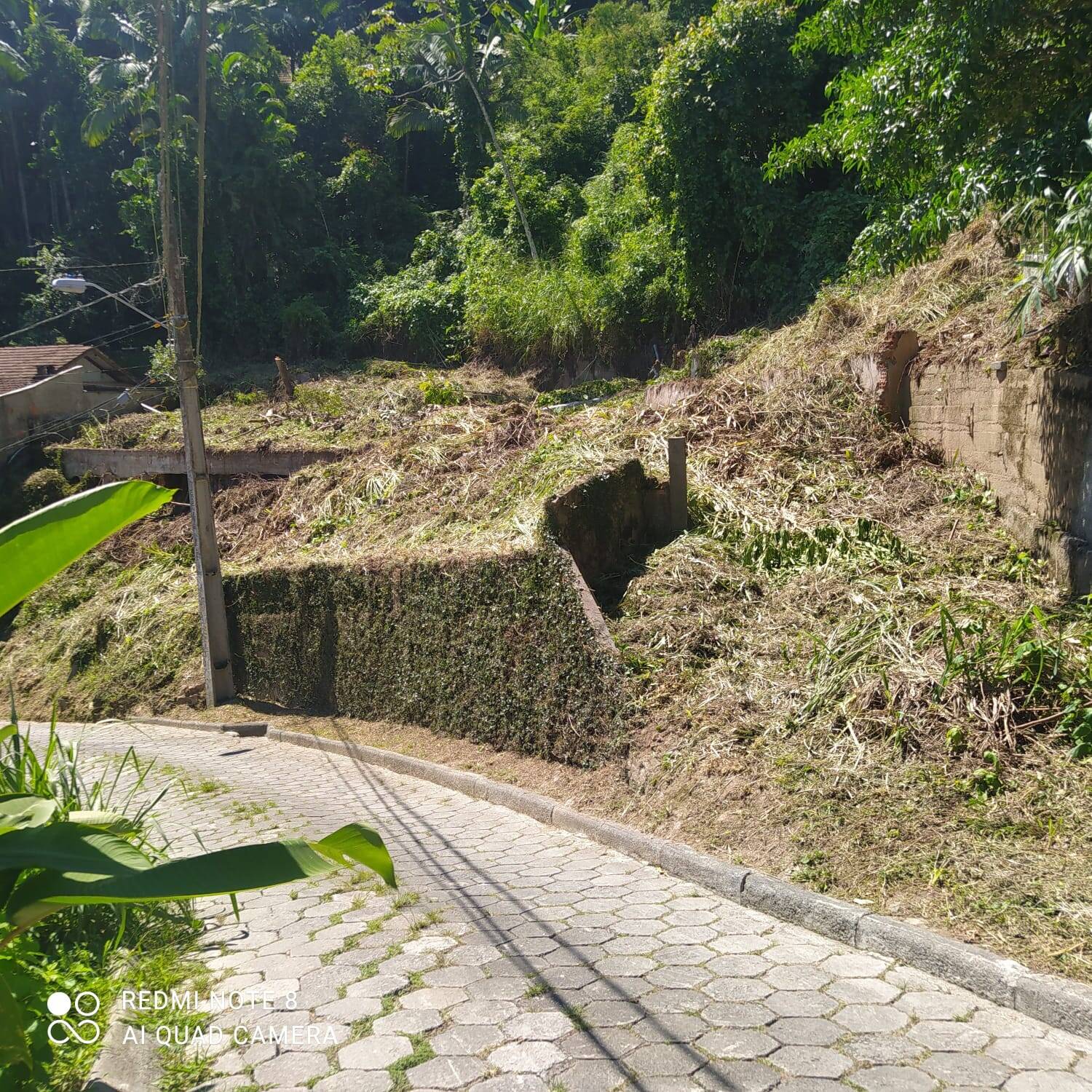 #1406 - Área para Venda em Blumenau - SC