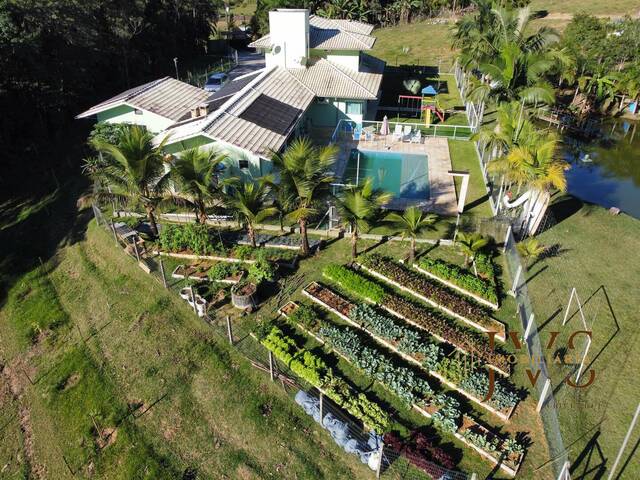 Sítio para Venda em Gaspar - 5