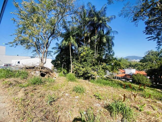 Área para Venda em Blumenau - 4