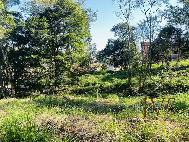 Área para Venda em Blumenau - 5