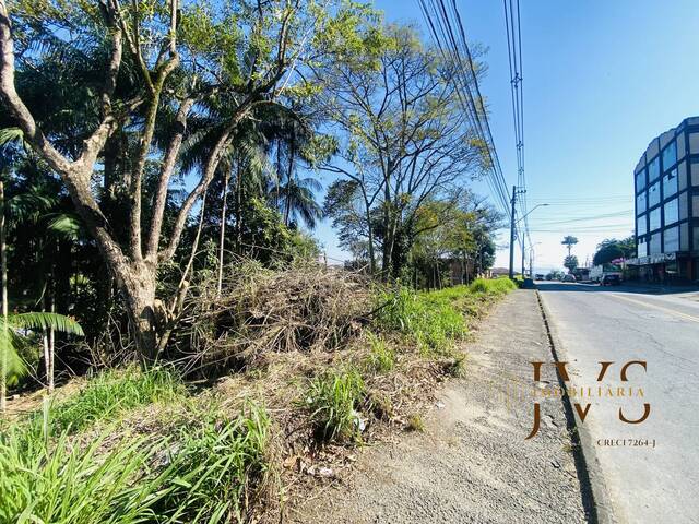 Área para Venda em Blumenau - 3