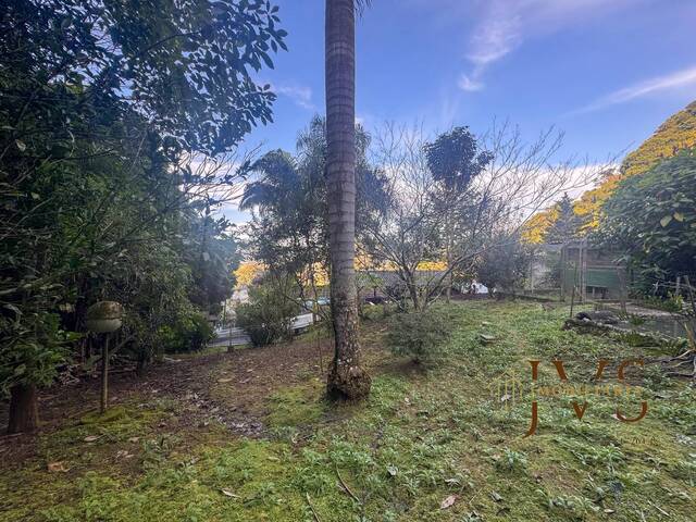Sítio para Venda em Blumenau - 5