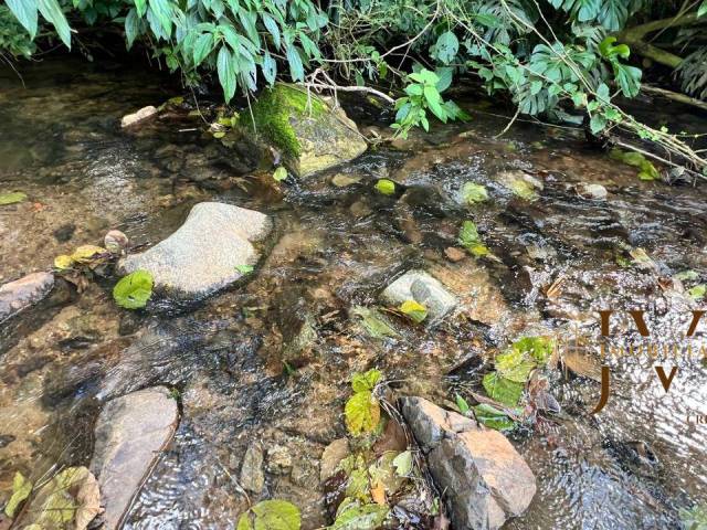 #1217 - Chácara para Venda em Blumenau - SC - 2