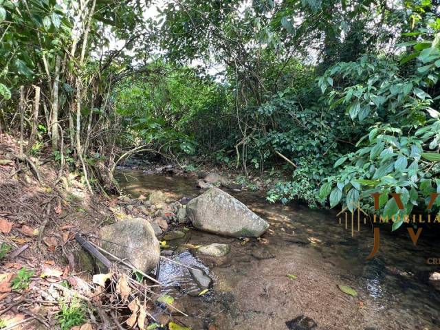 Chácara para Venda em Blumenau - 4
