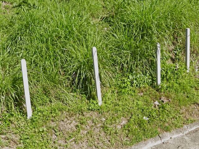 Área para Venda em Blumenau - 1