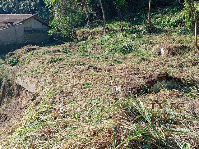 #1406 - Área para Venda em Blumenau - SC - 3