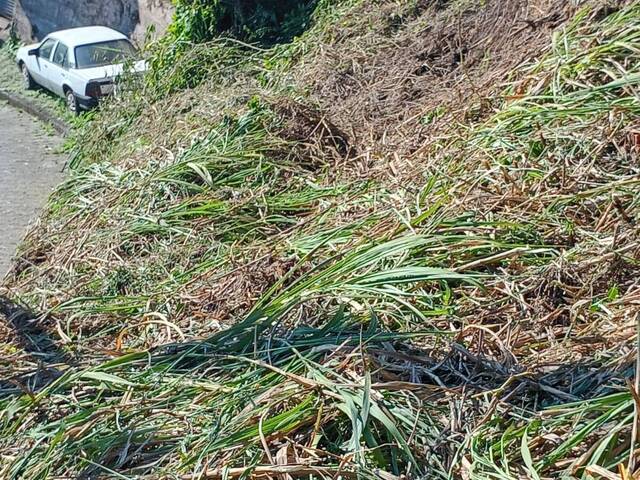 Área para Venda em Blumenau - 5